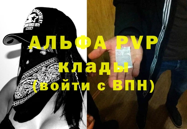 гидра Балахна