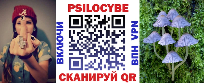 Галлюциногенные грибы Psilocybe Рассказово